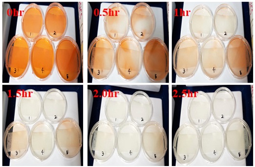 Fig. 7.